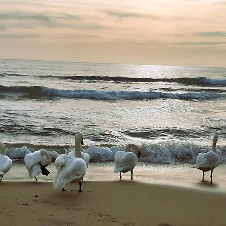 Appartamento оазис 2 във