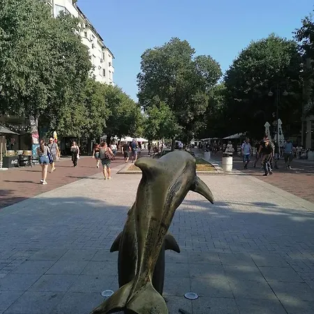 оазис 2 във * Varna